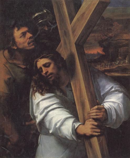 Sebastiano del Piombo Jesus Carrying the Cross oil painting picture
